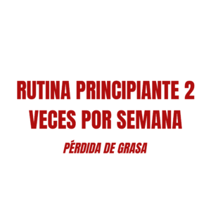 RUTINA PRINCIPIANTE PÉRDIDA DE GRASA 2 VECES POR SEMANA