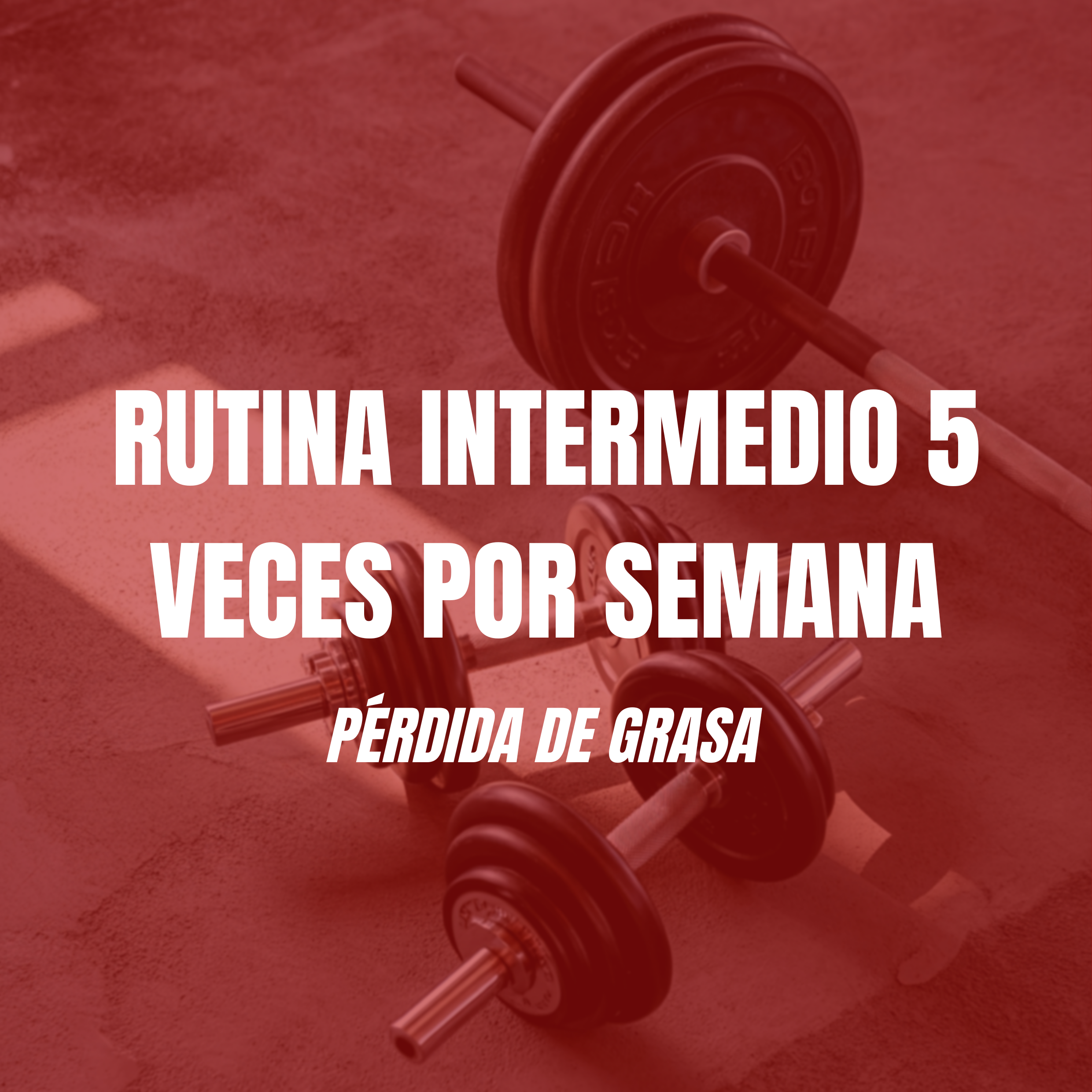 RUTINA INTERMEDIO PÉRDIDA DE GRASA 5 VECES POR SEMANA